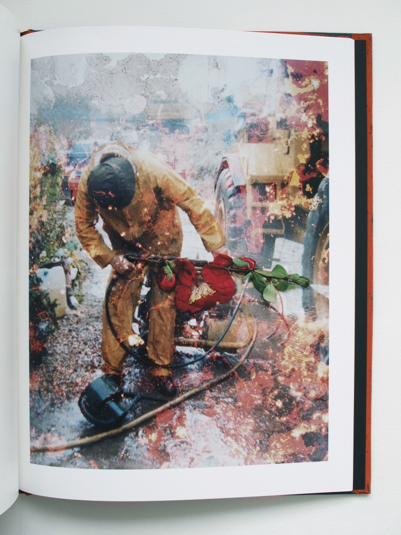 Stephen Gill 'Hackney Flowers' (signed) - Fragment