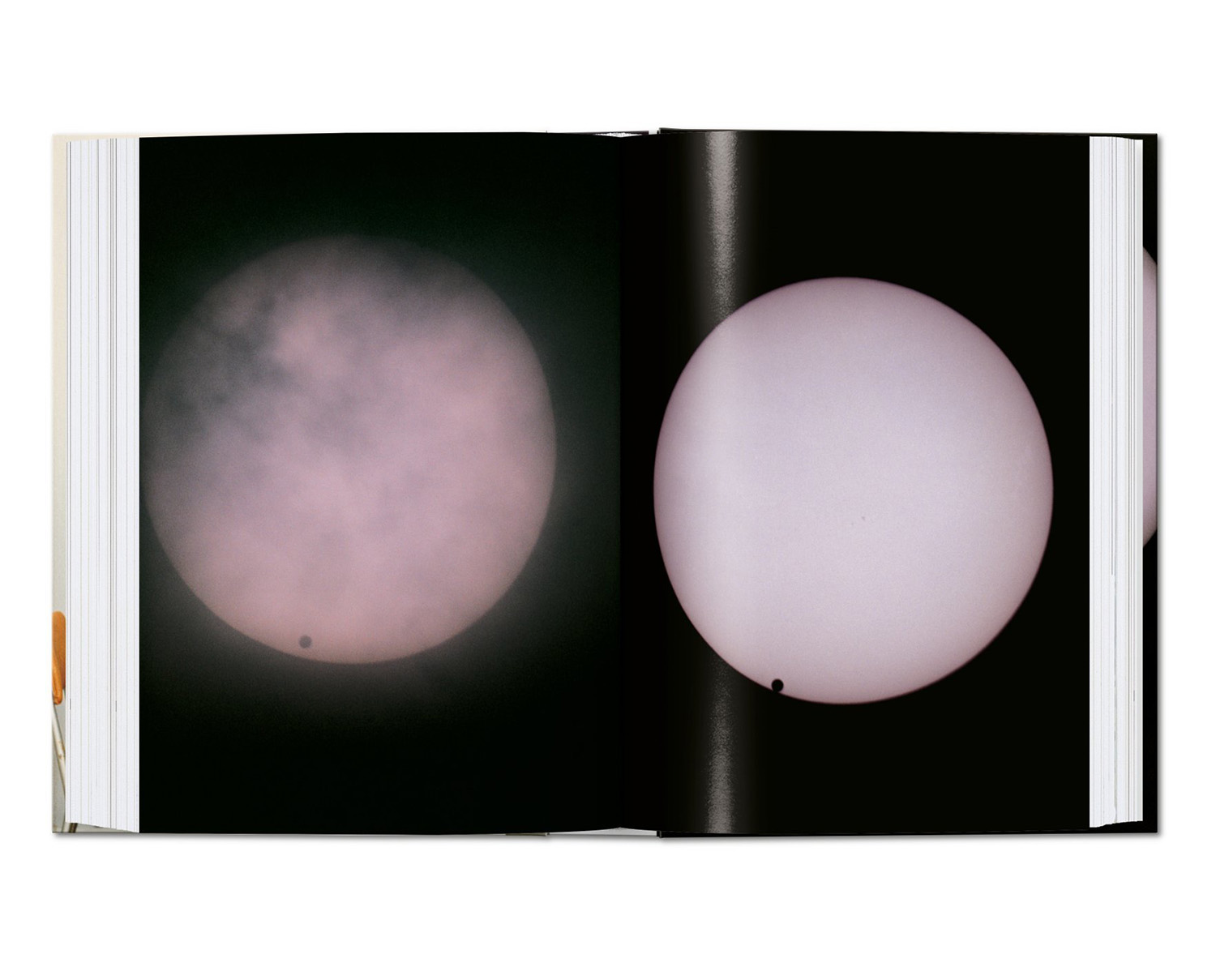 Wolfgang Tillmans 値下げしました41.000～36.000円 Wolfgang Tillmans Limited Edition Print. I Feel Safer In The