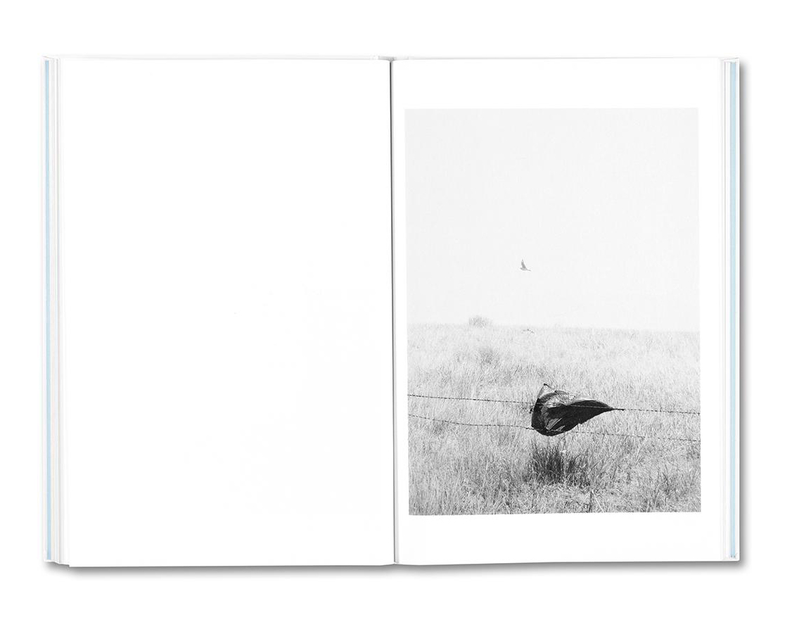 Raymond Meeks 'Somersault' - Image 17
