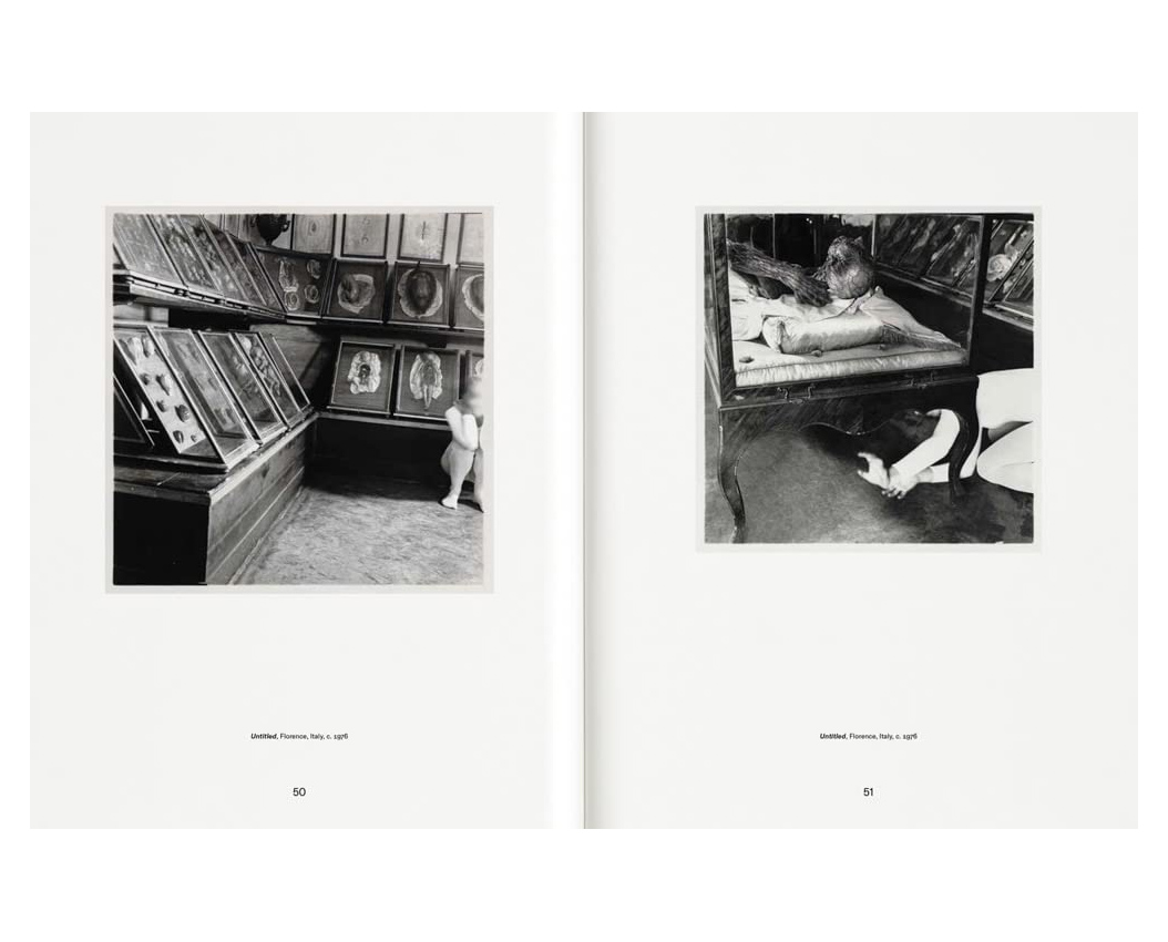 Francesca Woodman 'Alternate Stories' - Fragment
