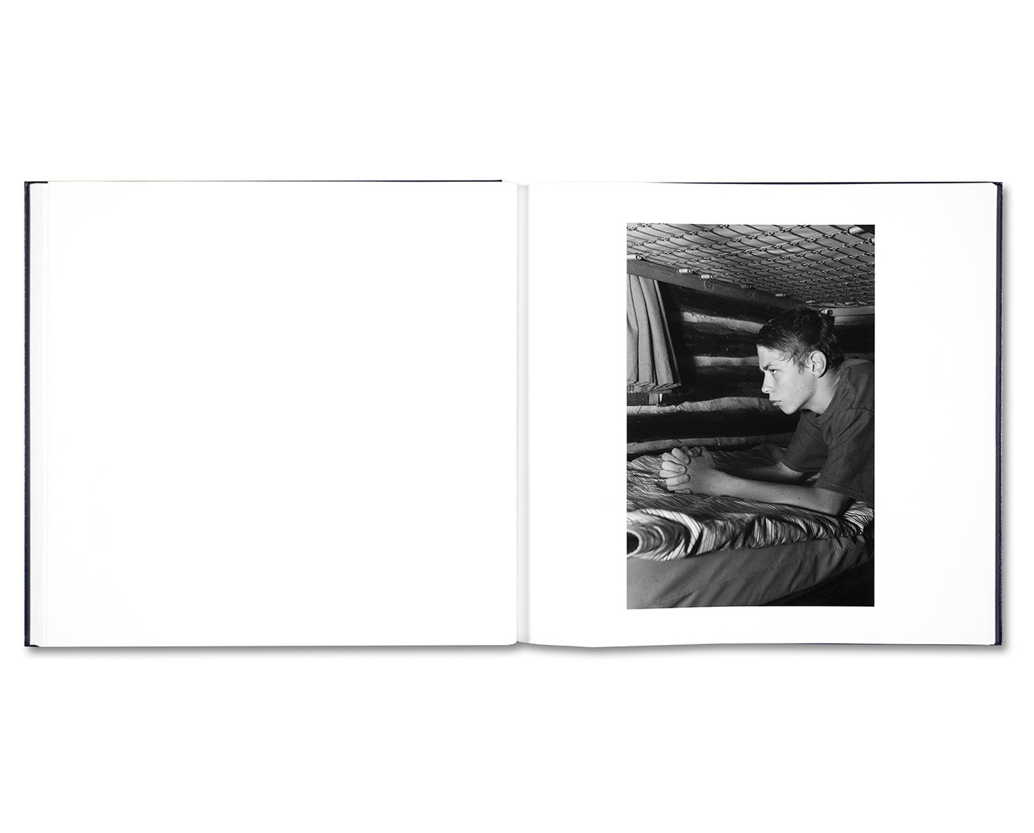 Alessandra Sanguinetti 'Some Say Ice' - Fragment