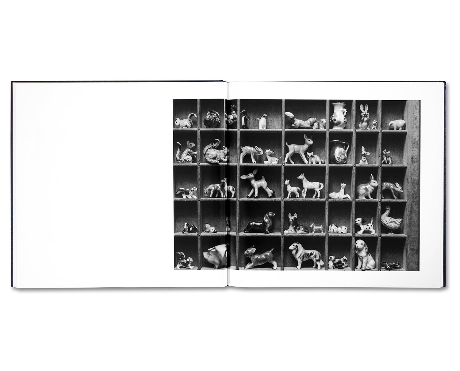 Alessandra Sanguinetti 'Some Say Ice' - Fragment