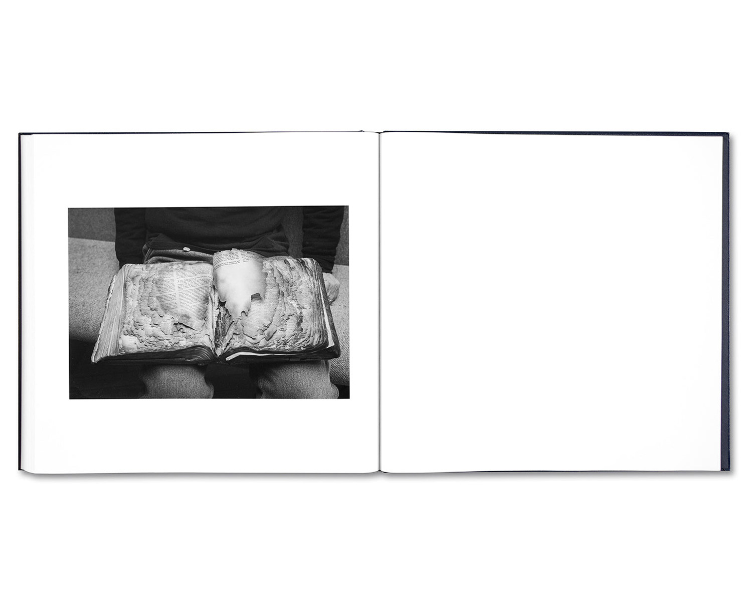 Alessandra Sanguinetti 'Some Say Ice' - Fragment
