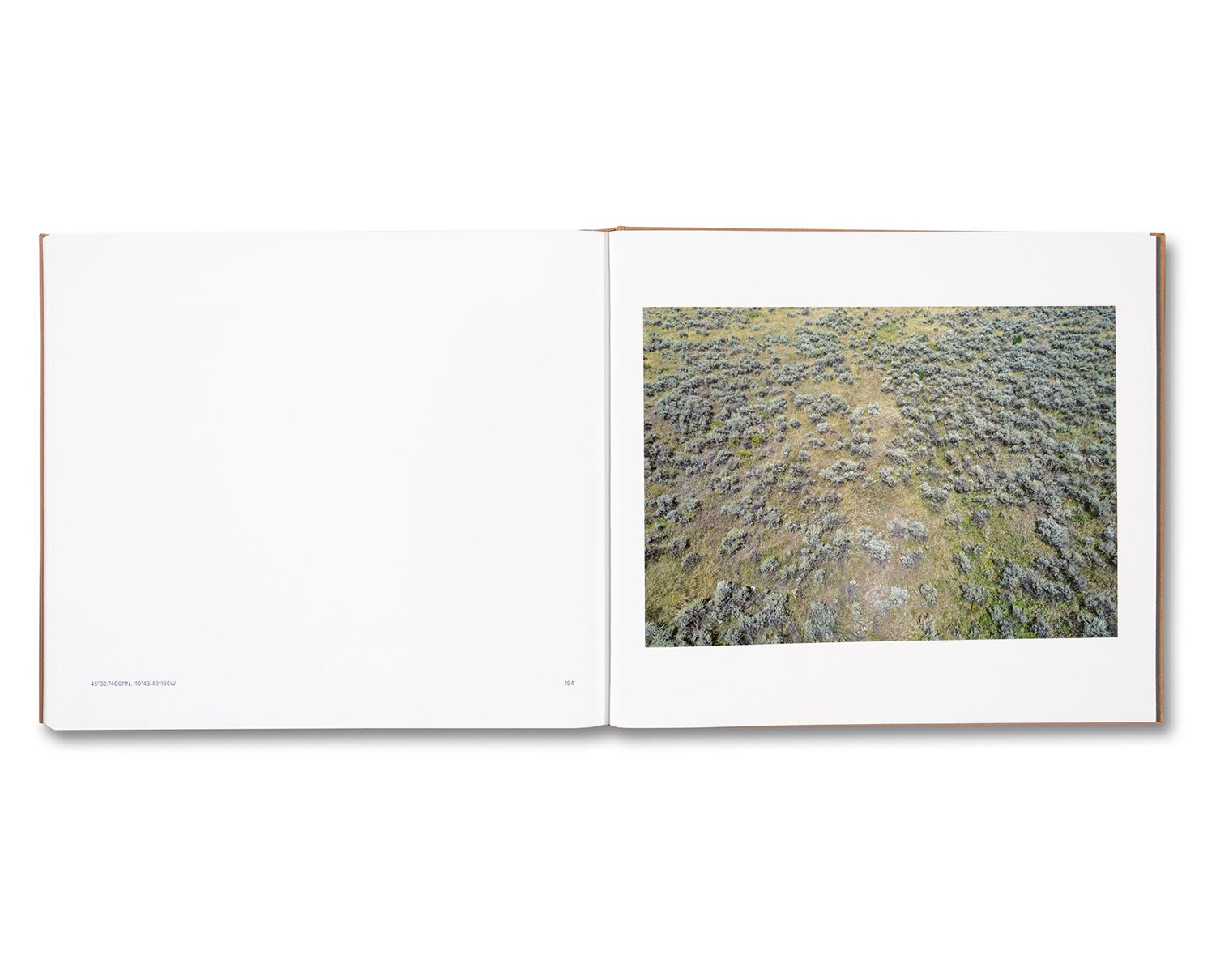 Stephen Shore - Survey 写真集 Stephen Shore: Survey スティーブン・ショア - 古本買取販売