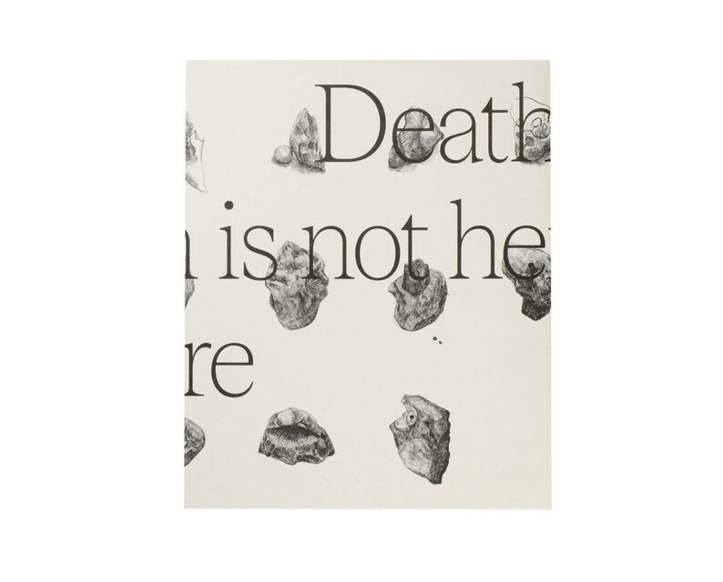 Wouter Van de Voorde_Death is not here