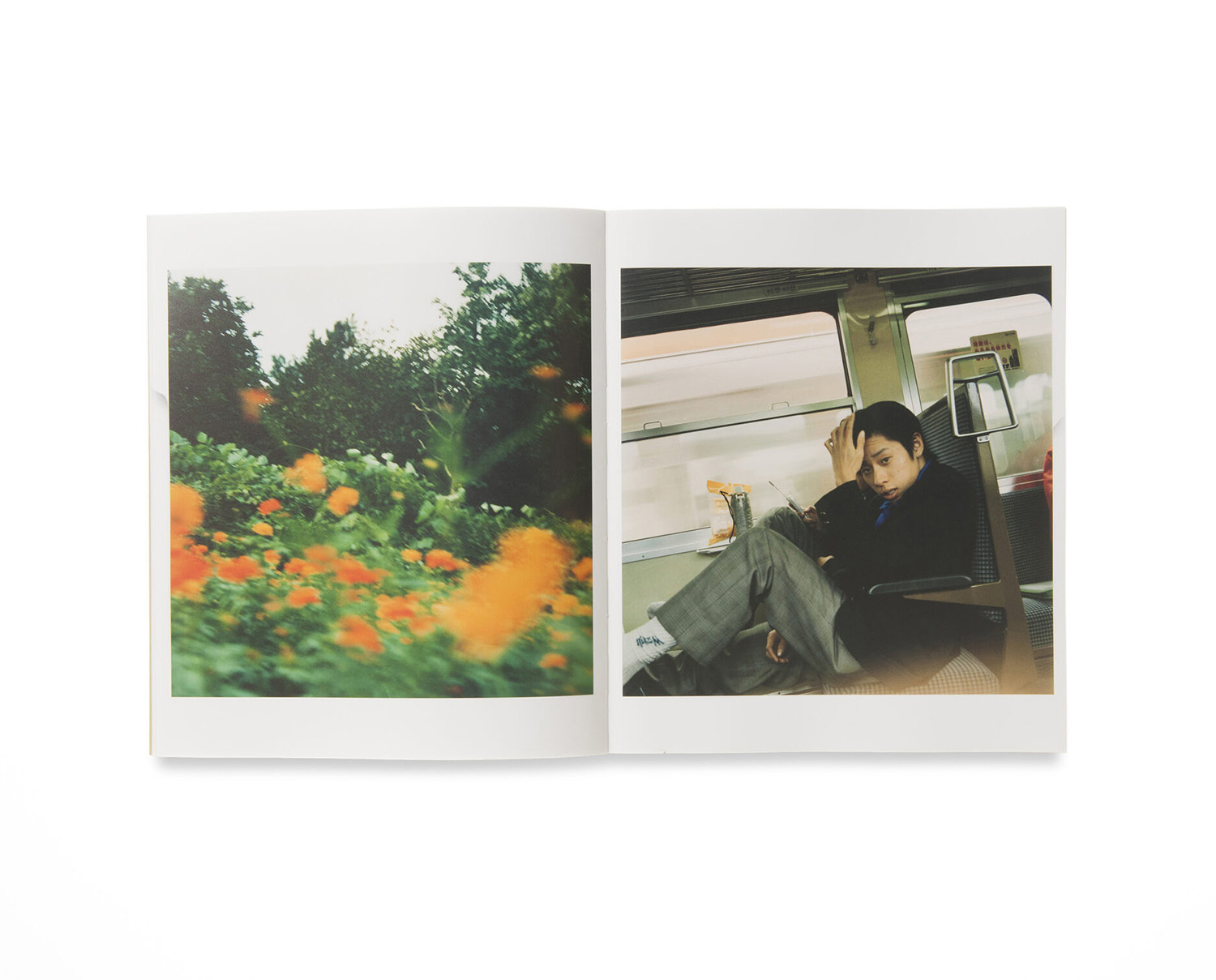 MIKIKO HARA SMALLMYTHS 写真集 サインあり Mikiko Hara 'Small Myths' - Fragment