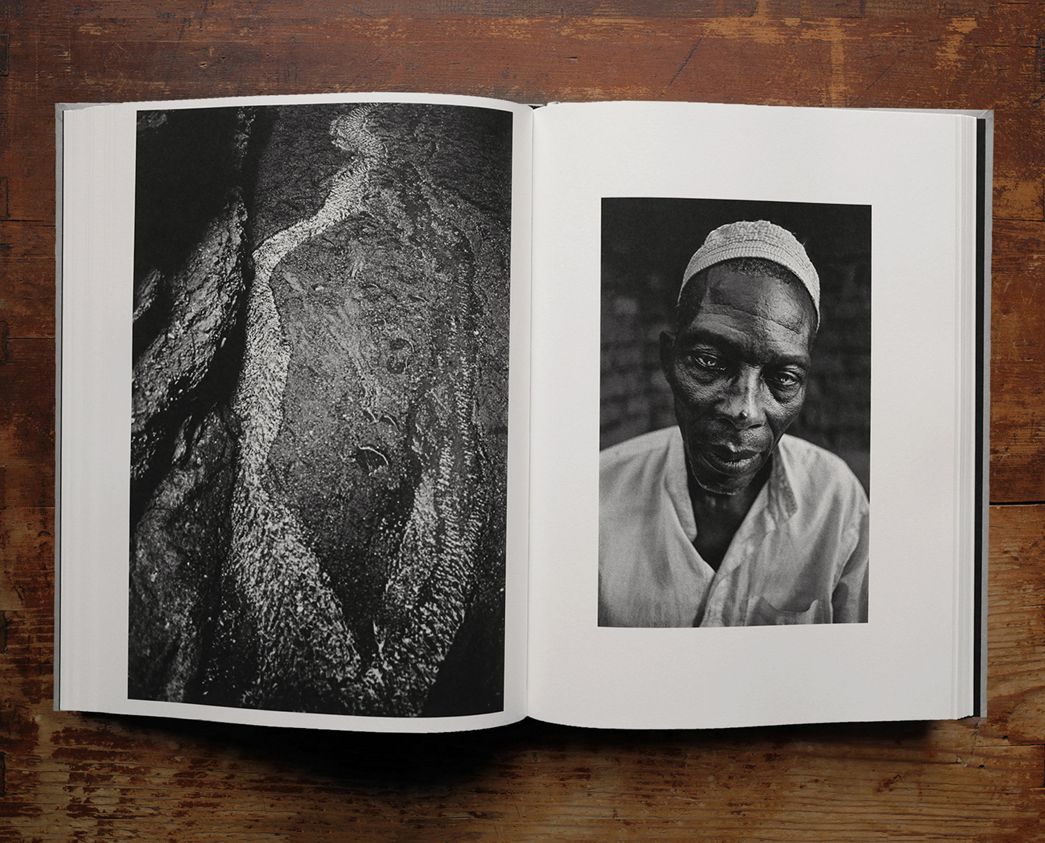 洋書 the promise of photography Capturing a Shadow: William Henry Fox Talbot and the Promise