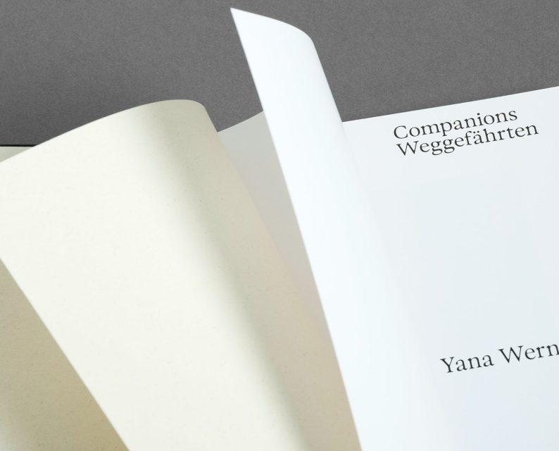 Yana_Wernicke_Companion