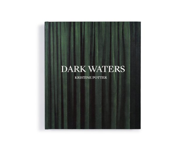 Kristine_Potter_Dark_Waters