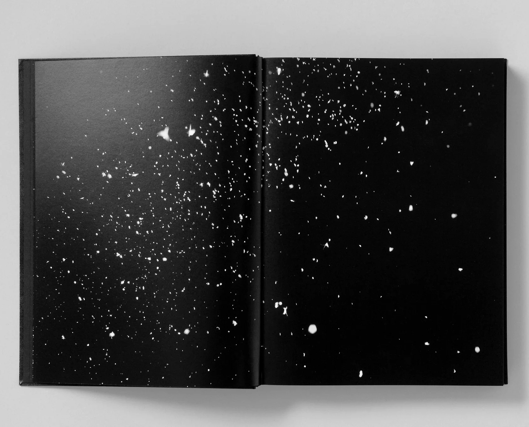 アート・デザイン・音楽 Monument / Trent PARKE 2nd printing アート・デザイン・音楽 Monument / Trent PARKE 2nd printing