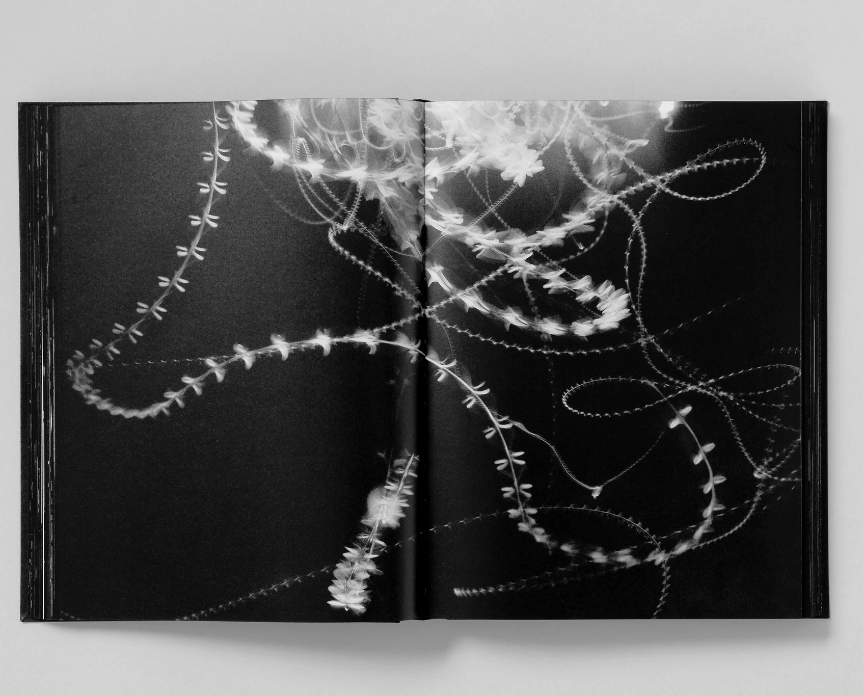 Trent Parke 'Monument' (3rd printing) - Fragment