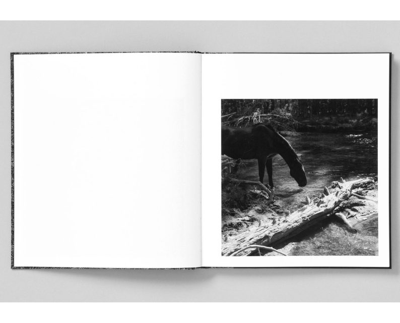 Mimi Plumb 'Megalith-Still' - Image 5