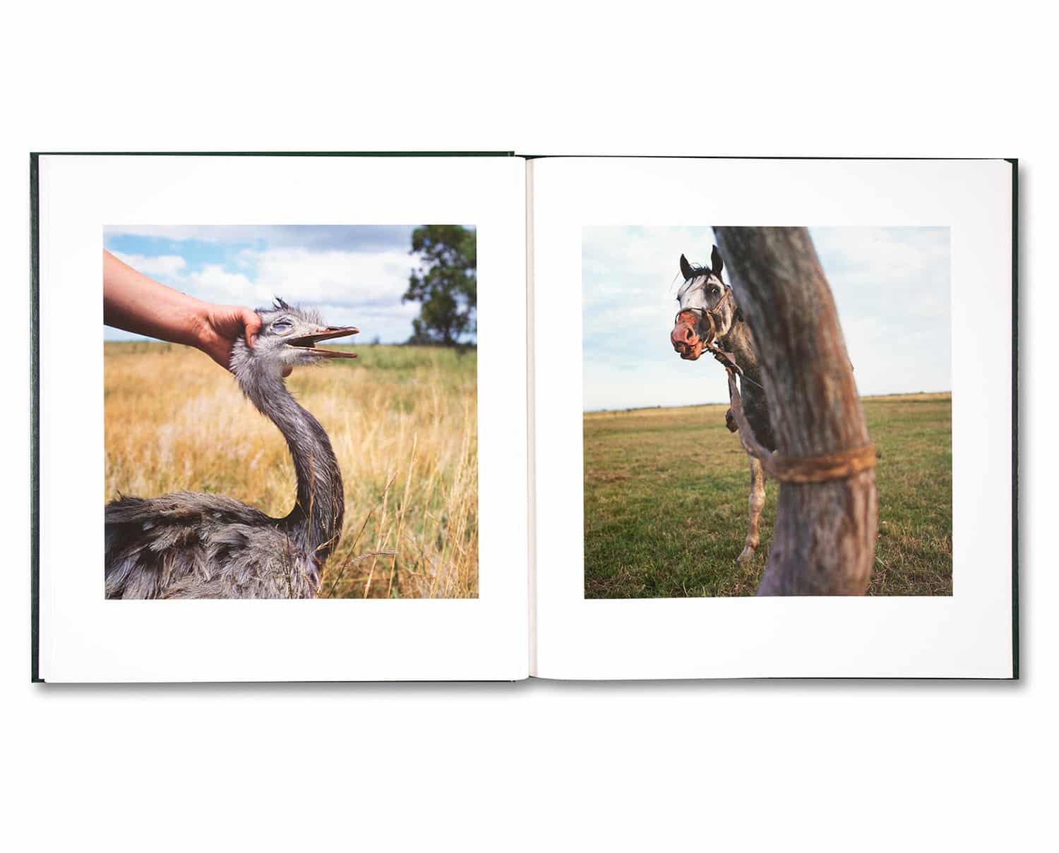 アート・デザイン・音楽 Alessandra Sanguinetti ON THE SIXTH DAY by Alessandra Sanguinetti [SIGNED