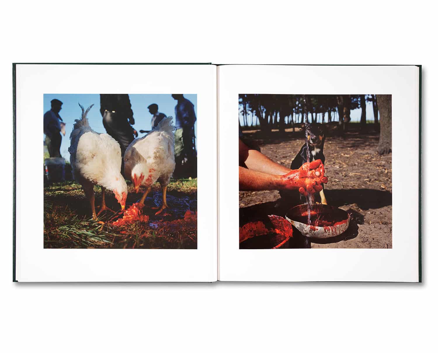 Alessandra Sanguinetti 'On the Sixth Day' (signed) - Fragment
