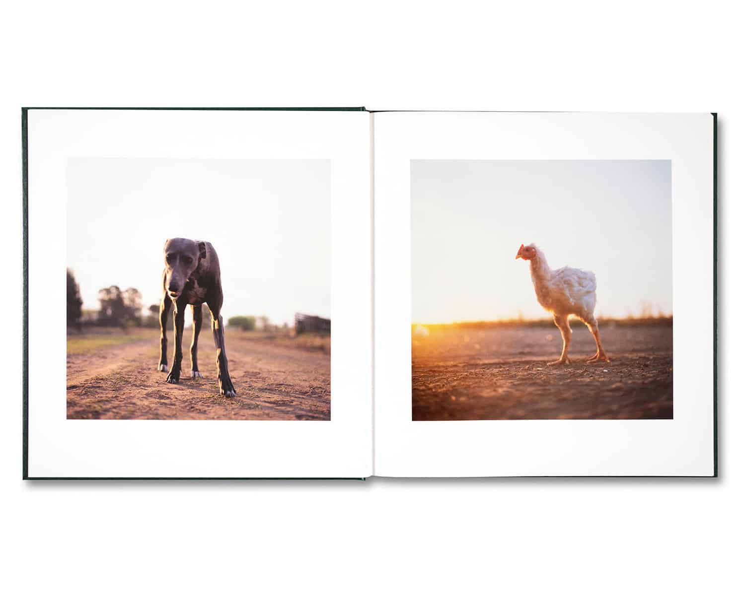Alessandra Sanguinetti 'On the Sixth Day' (signed) - Fragment