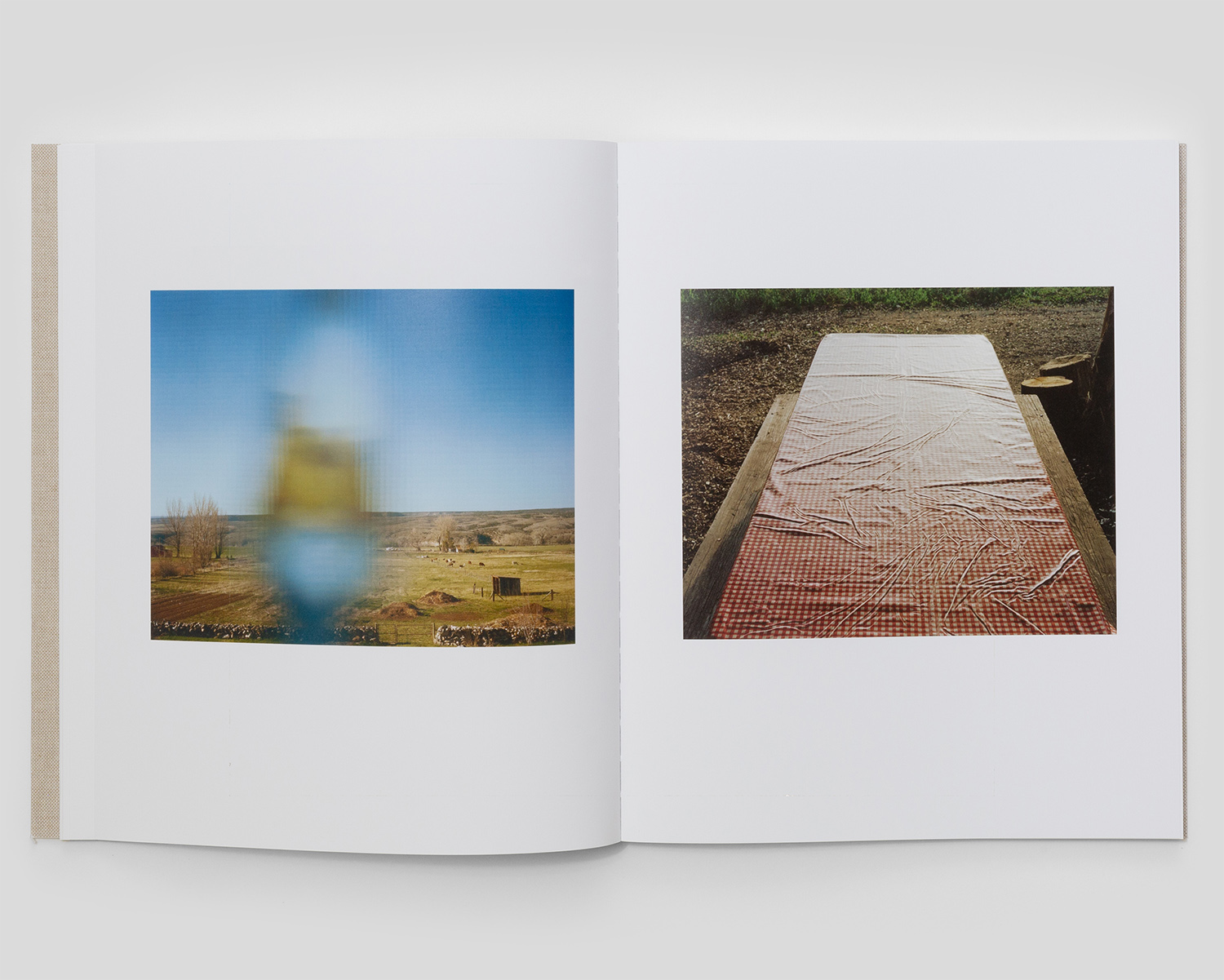 Trent Davis Bailey 'The North Fork' - Fragment