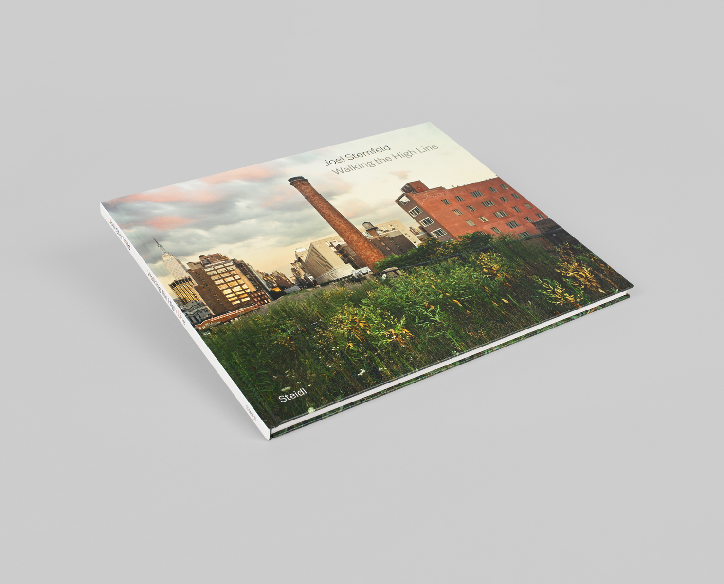 Joel Sternfeld 'Walking the High Line. Revised Edition' - Fragment