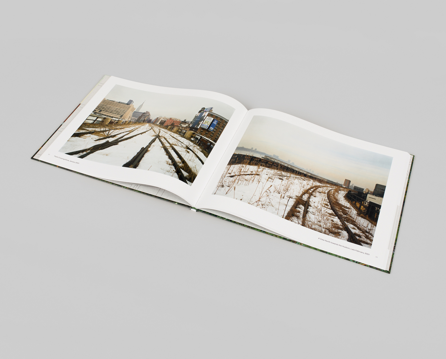 Joel Sternfeld 'Walking the High Line. Revised Edition