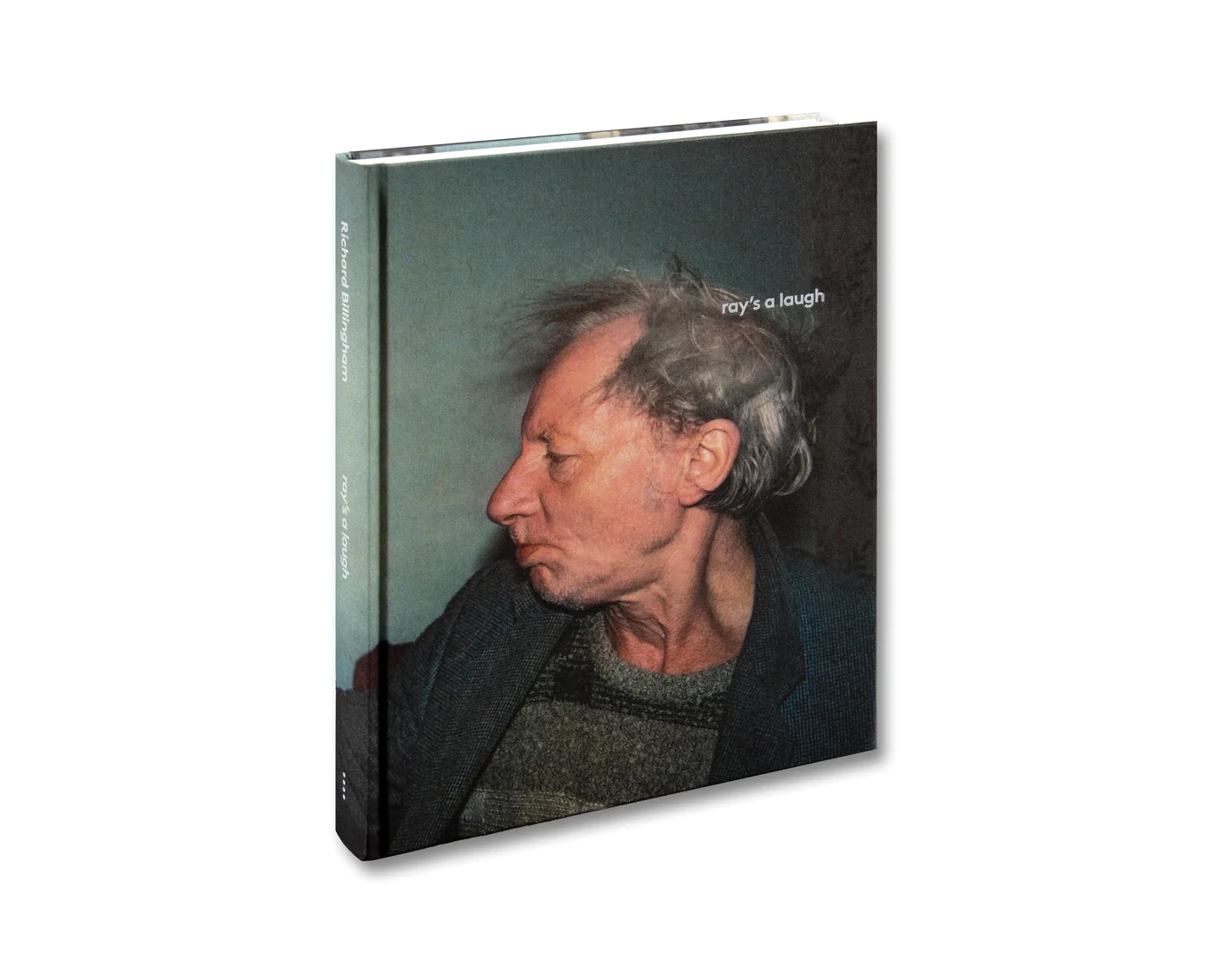 Richard Billingham 'Ray's a Laugh' - Fragment
