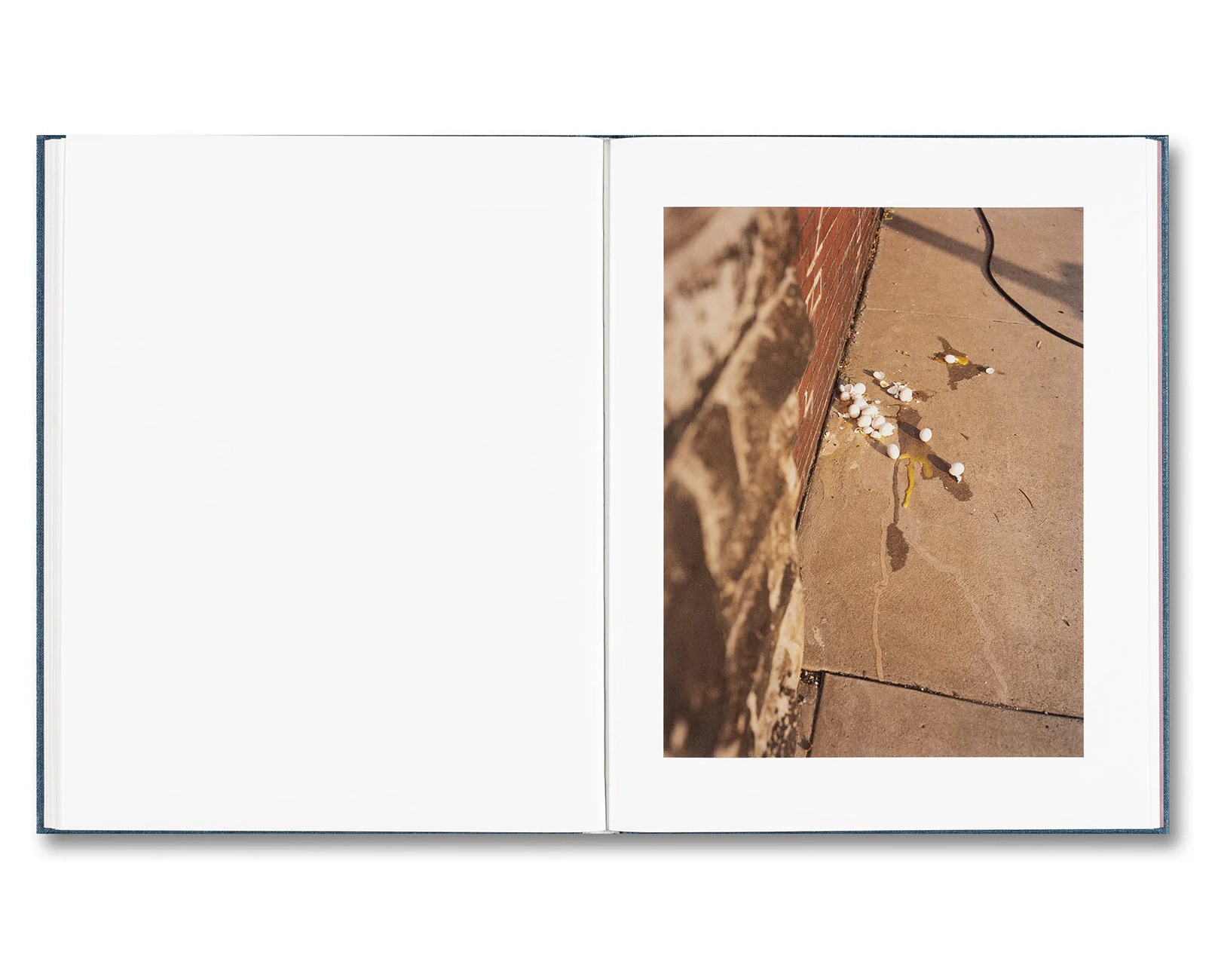 Gregory Halpern 