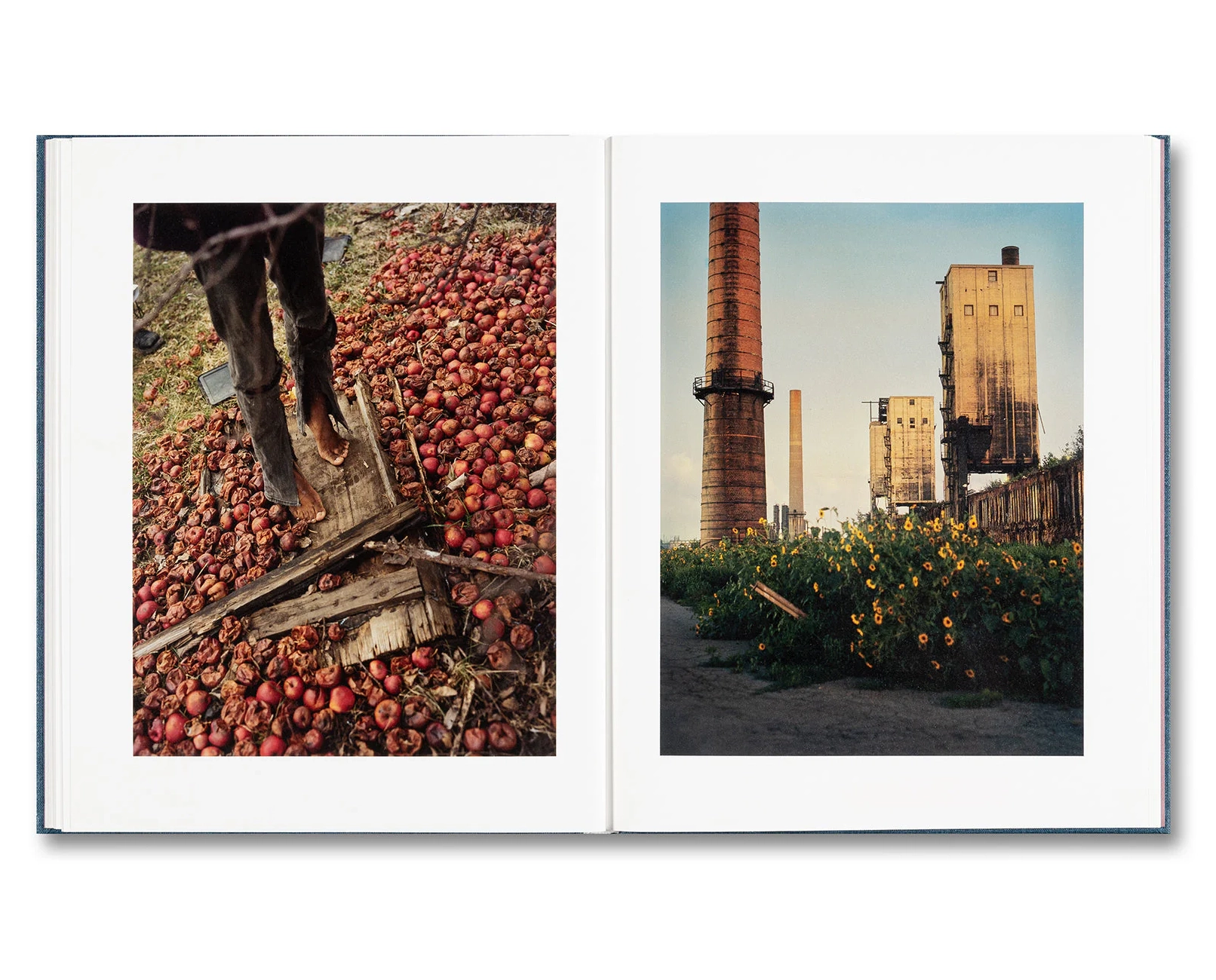 Gregory Halpern 'King, Queen, Knave' (signed - 2nd printing Gregory Halpern 'King, Queen, Knave' (signed - 2nd printing