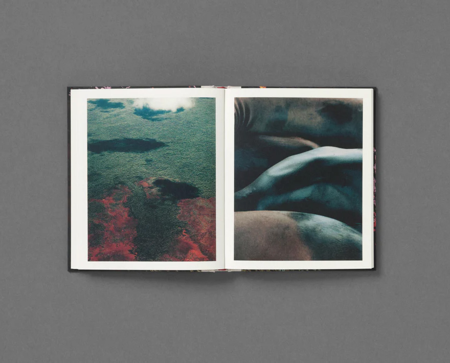 Pia Riverola 'Días' - Fragment
