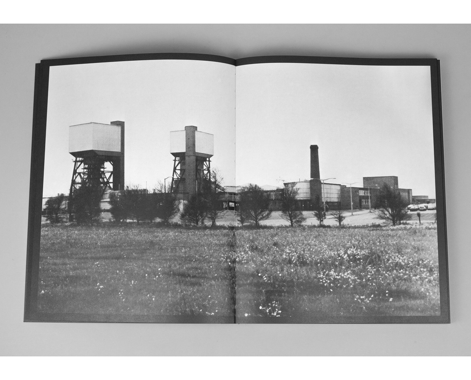 Olga Sokal 'Black Stone Burns' - Image 2