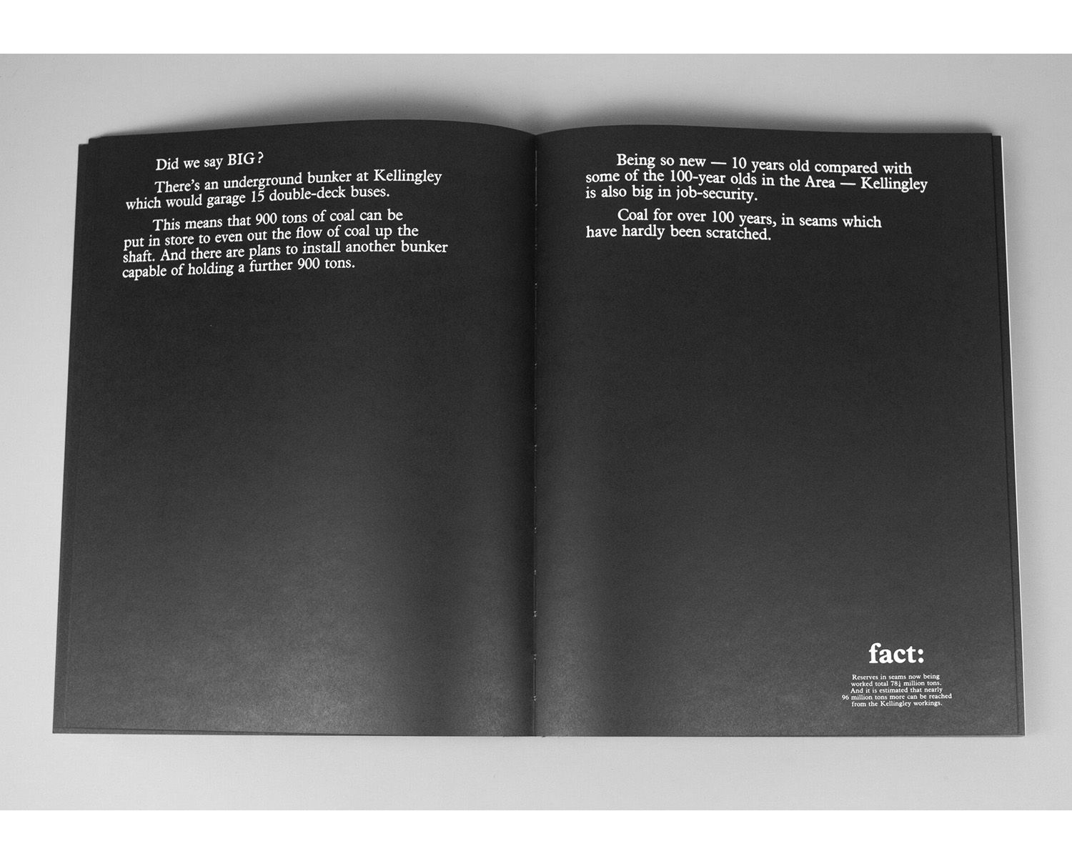 Olga Sokal 'Black Stone Burns' - Image 3