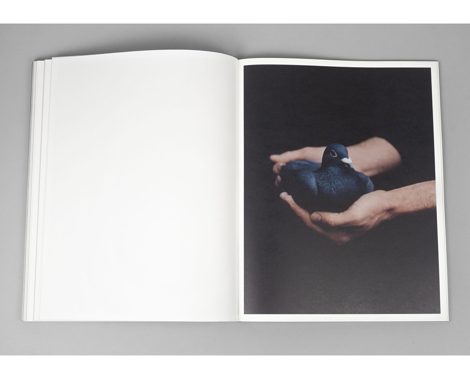 Olga Sokal 'Black Stone Burns' - Image 22