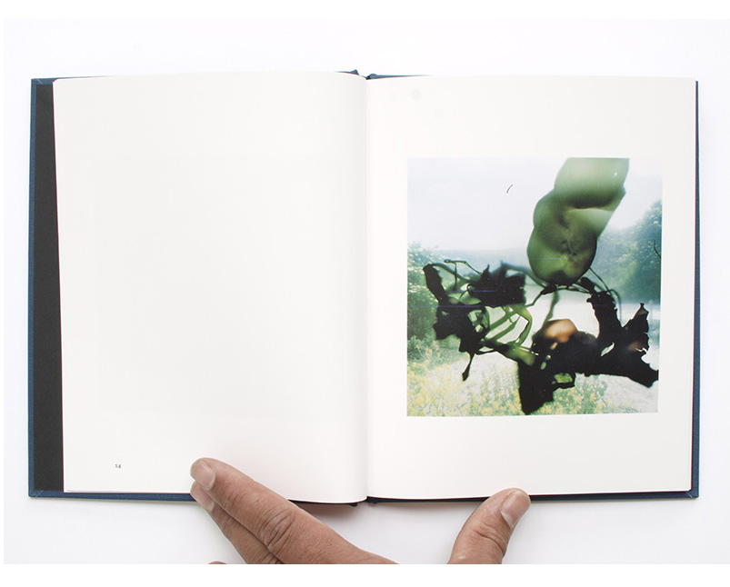 Stephen Gill 'Outside In' - Image 3