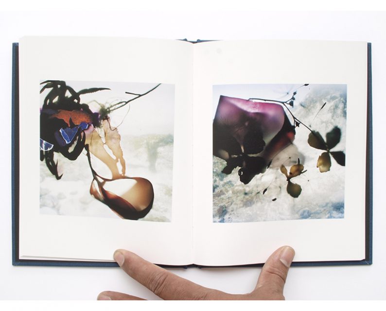 OUTSIDE IN スティーブン・ギル アートブック Stephen Gill 'Outside In' - Fragment