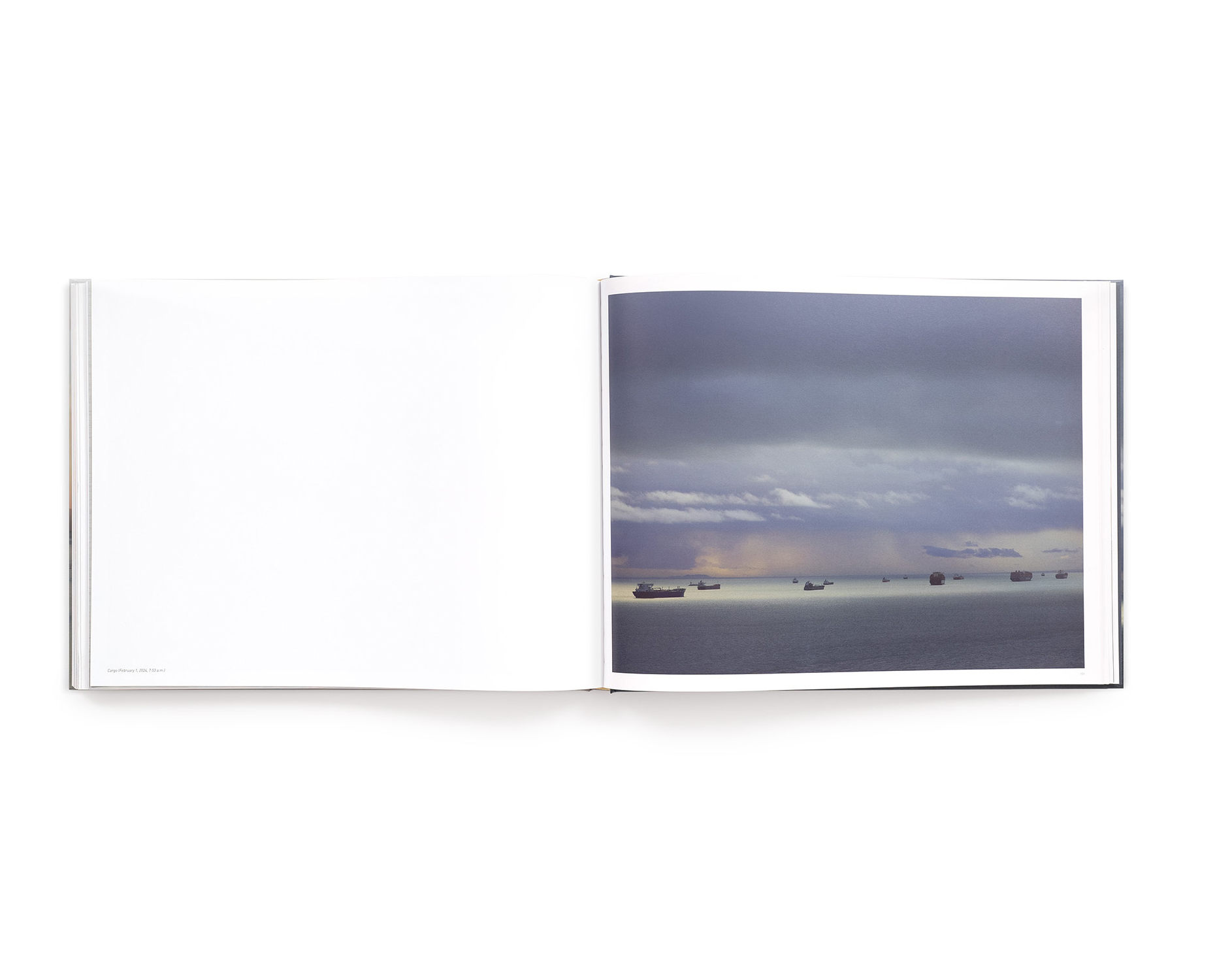 新品未開封洋書　RICHARD MISRACH CHRONOLOGIES　写真集 リチャード・ミズラック【Richard Misrach on Landscape and