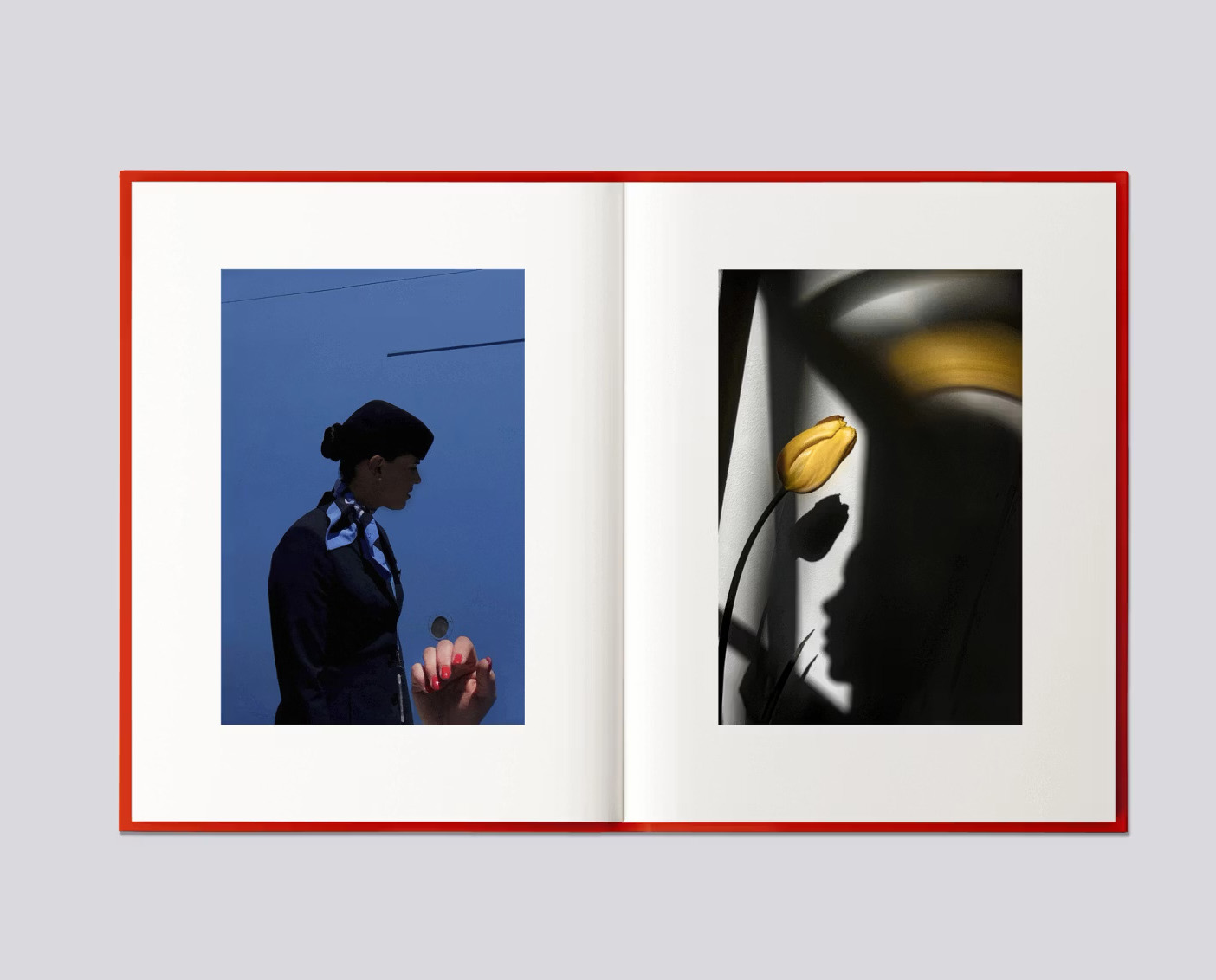 Sarah van Rij 'Atlas of Echos' - Image 10