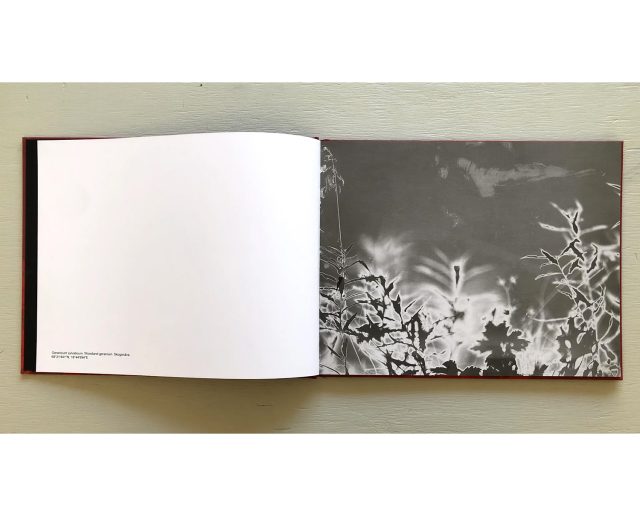 Hendrik Zeitler 'Abiskograms'