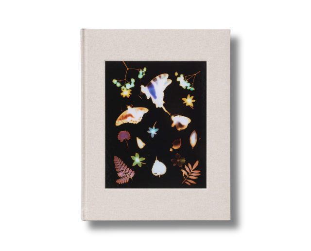 David Brandon Geeting 'The Marble'