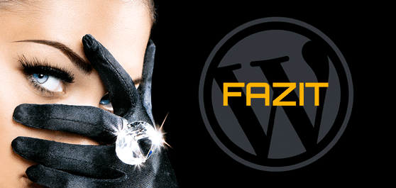 wordpress agentur frasche fazit