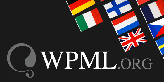 wordpress agentur frasche wpml