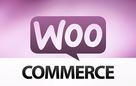 wordpress agentur FRASCHE.de Shopsystem woo-commerce