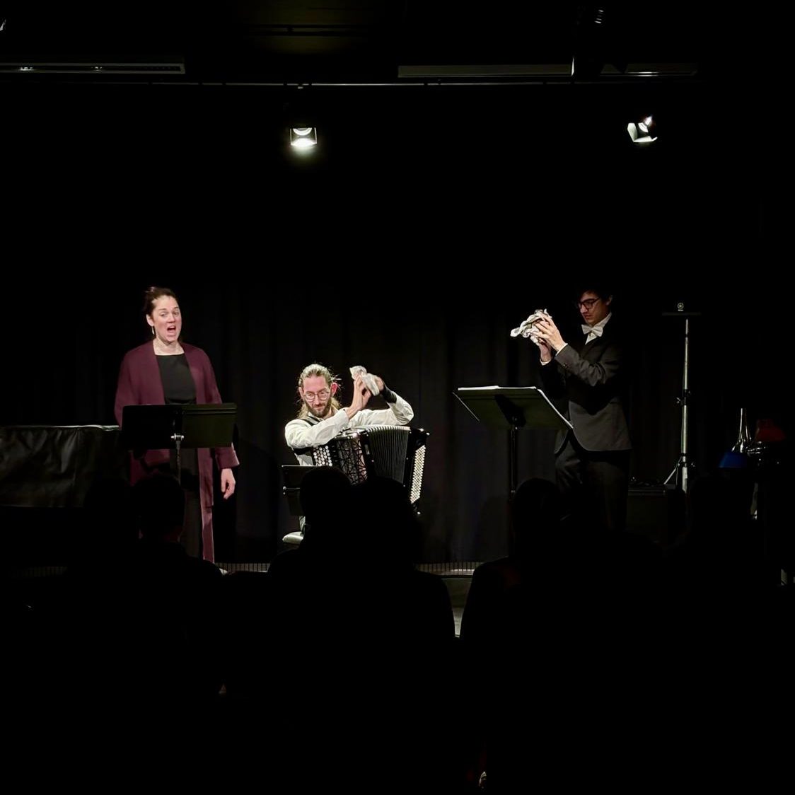 Ensemble Satierique - Frauke Elsen, Joren Elsen en Bram Van Weverberg