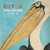 COSMO SHELDRAKE: Pelicans We