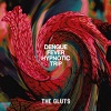 THE GLUTS: Dengue Fever Hypnotic Trip