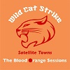 WILD CAT STRIKE: Satellite Towns (Small Pond Session)