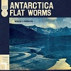 FLAT WORMS: The Aughts