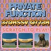 PRIVATE FUNCTION: 370HSSV 0773H