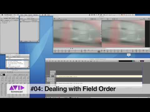 Avid Screencast #04: Changing the Field Order