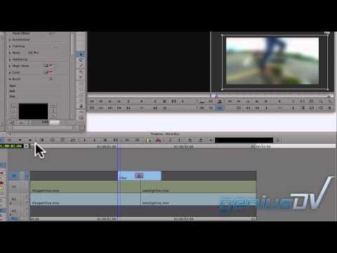 Wind Blur effect for Avid Media Composer