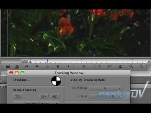 Magic Mask Effect for Avid Media Composer