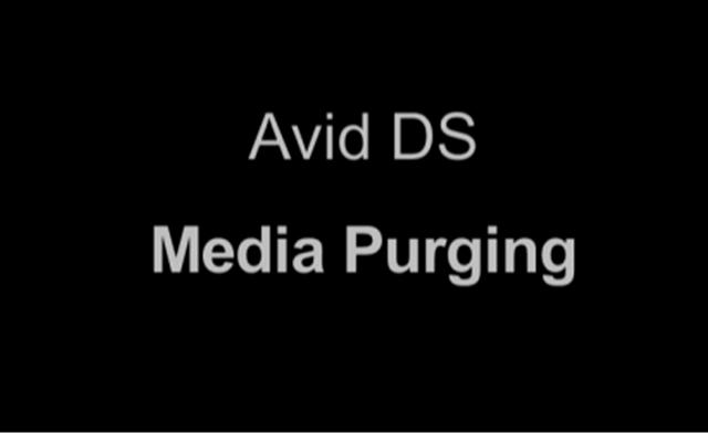 Avid DS Media Purging