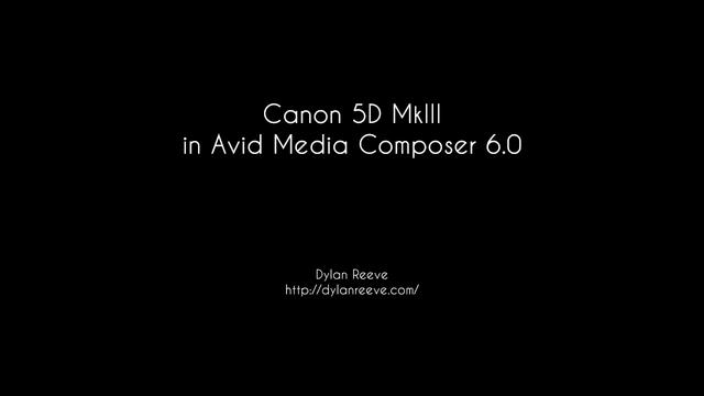 Canon 5D Mk3 in Avid Media Composer 6.0