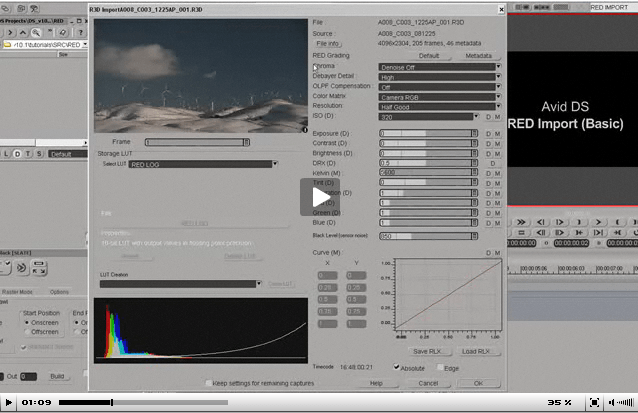 Avid DS RED Import (Basic)